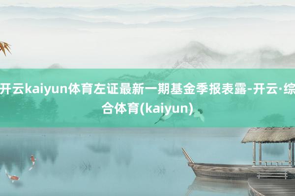 开云kaiyun体育左证最新一期基金季报表露-开云·综合体育(kaiyun)