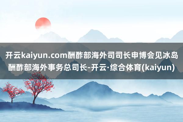 开云kaiyun.com酬酢部海外司司长申博会见冰岛酬酢部海外事务总司长-开云·综合体育(kaiyun)