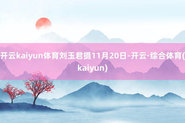 开云kaiyun体育刘玉君摄11月20日-开云·综合体育(kaiyun)