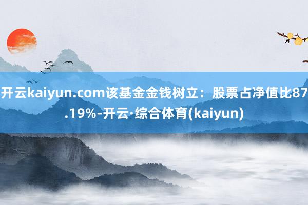 开云kaiyun.com该基金金钱树立：股票占净值比87.19%-开云·综合体育(kaiyun)