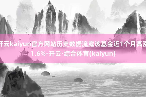 开云kaiyun官方网站历史数据流露该基金近1个月高涨1.6%-开云·综合体育(kaiyun)