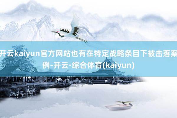 开云kaiyun官方网站也有在特定战略条目下被击落案例-开云·综合体育(kaiyun)