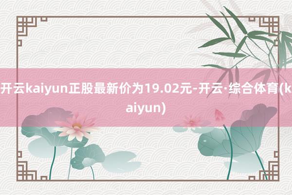 开云kaiyun正股最新价为19.02元-开云·综合体育(kaiyun)