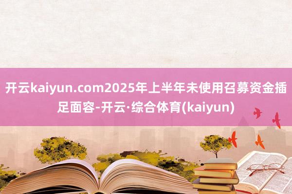开云kaiyun.com2025年上半年未使用召募资金插足面容-开云·综合体育(kaiyun)