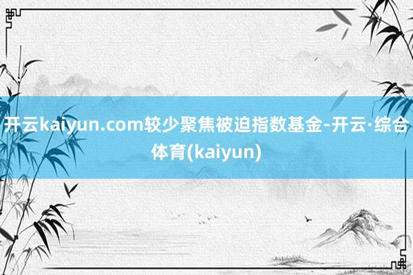 开云kaiyun.com较少聚焦被迫指数基金-开云·综合体育(kaiyun)