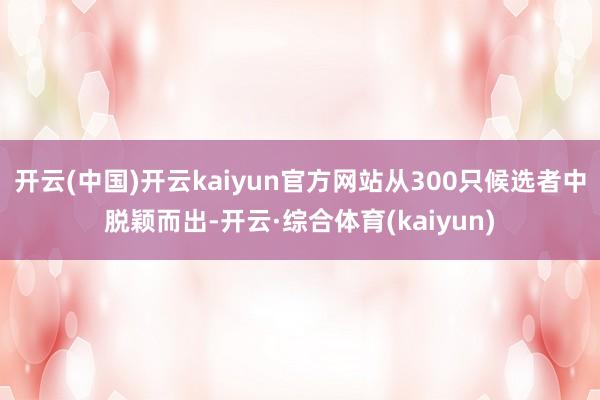 开云(中国)开云kaiyun官方网站从300只候选者中脱颖而出-开云·综合体育(kaiyun)
