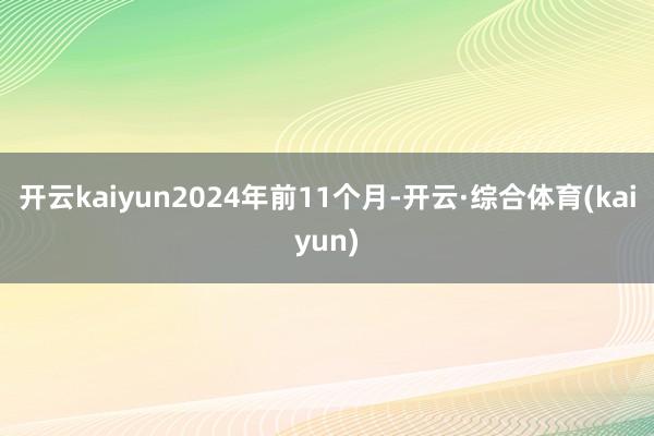 开云kaiyun2024年前11个月-开云·综合体育(kaiyun)