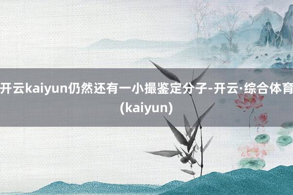 开云kaiyun仍然还有一小撮鉴定分子-开云·综合体育(kaiyun)